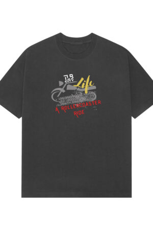 Life - A Rollercoaster Ride Premium Oversized T-shirt