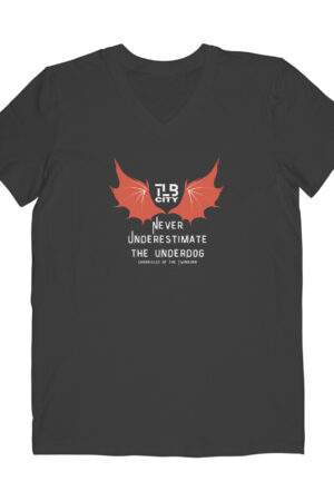 Chronicles of the Twinborn V-Neck T-Shirt