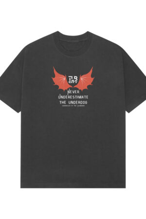 Chronicles of the Twinborn Premium Oversized T-shirt