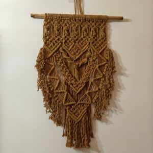 Macrame Wall Hanging | Ruchi Thakur